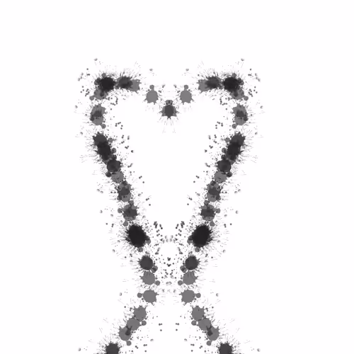 First Collection - nwZMxwea84