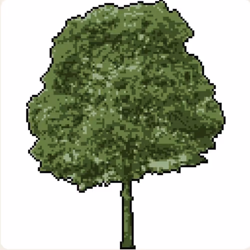first digital luck tree