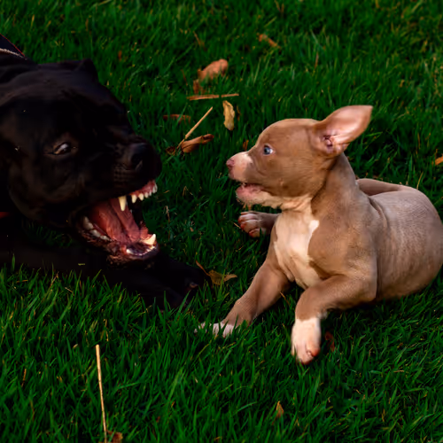 first impressions are what stays