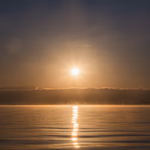 FIRST LIGHT