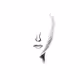 First Collection - cwiUYVmRtE