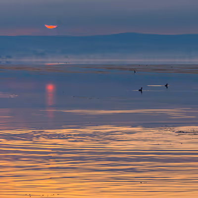 Fisherman at Sunrise - Vol.1 - old