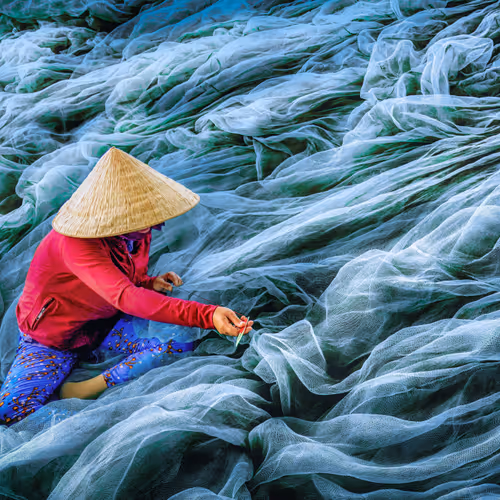 Fishing Nets of Vietnam