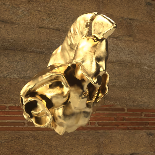 Fixed pose