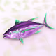 FIyfish Club [LIMITED EDITION]