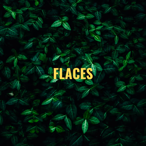 FLACES