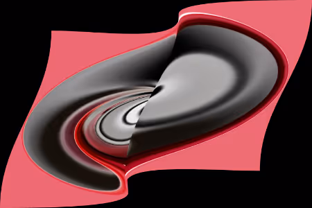 Flags in abstraction - old