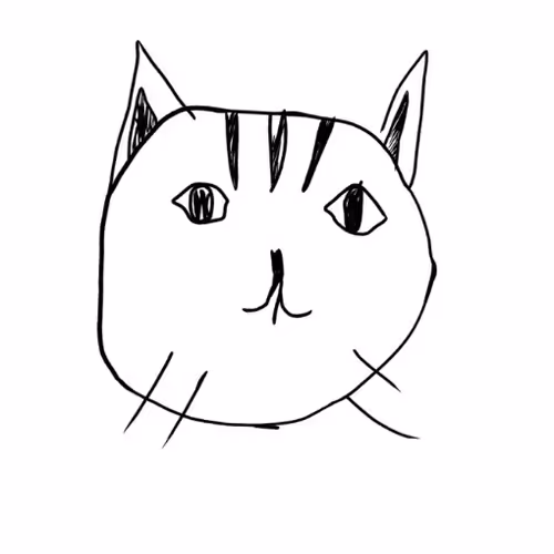 flake cat