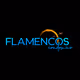 FlamencosCity