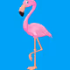 Famous Flamingos Vevo