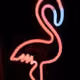 SUPERFLAMINGO