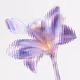 fleur