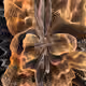 Fleur-de-lis Burst