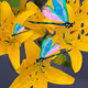 Fleur Di Lis - old V2