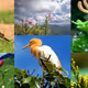 FLORA AND FAUNA !!!