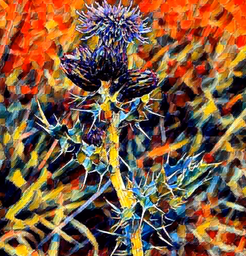 Flora and the fauna of Scotland