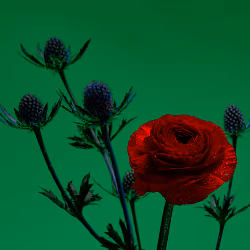 FLORA 002 by Matthew Neubauer - old