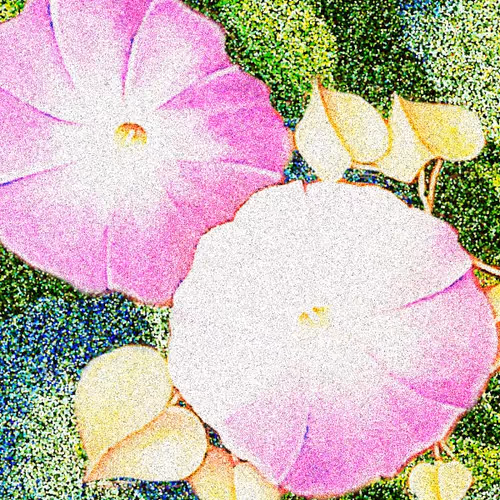 Floradigi - old