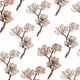 Floral Beige