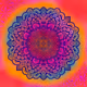 Floral Mandalas