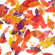floral colours