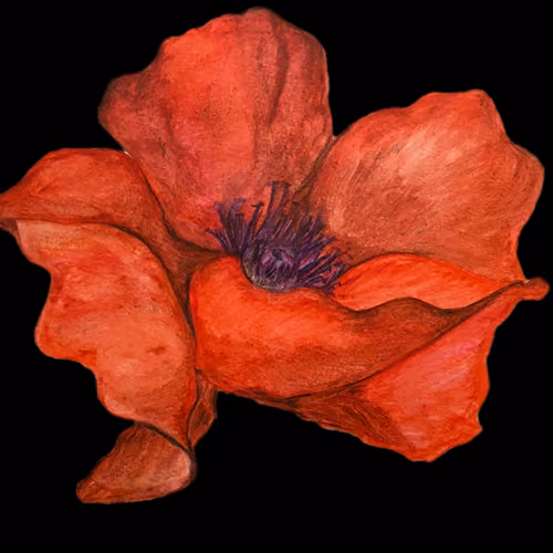 Floral Emotions