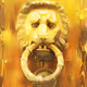 Florence Lions 3 - old