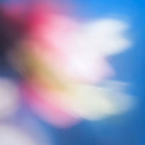 Florescence in Full Light v1 - old