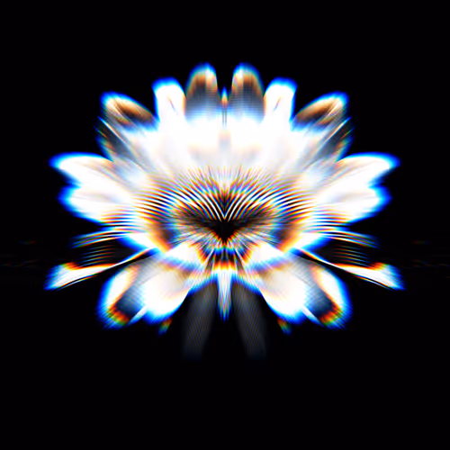 flores noctis