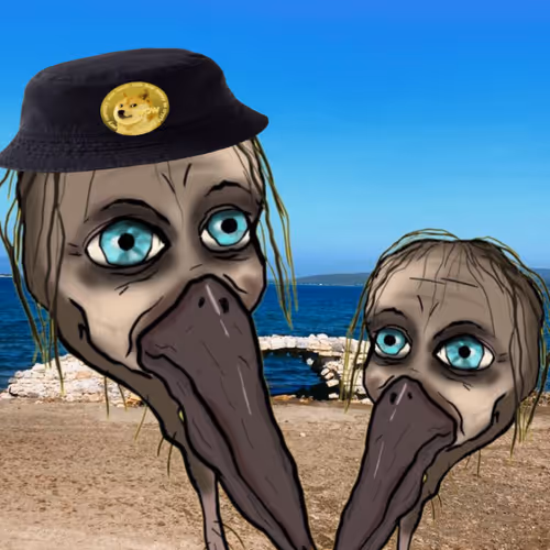 Florida Pelicans Special - old