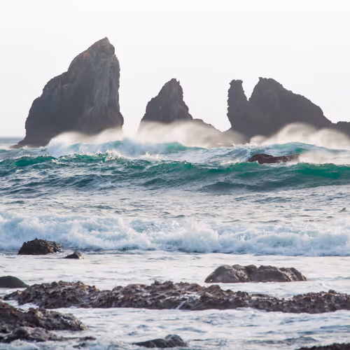 Flotsam & Jetsam:  The Misc. Collection - old