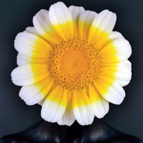 Flourishing Heads - old