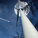 WindLife