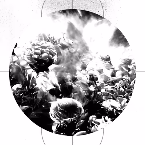 \Flower meadow/