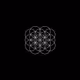 flower of life birthing