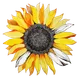 flowerclock - old