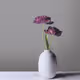 Flower Energy - old
