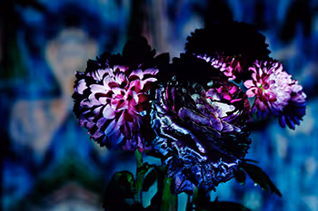 <flower x kaleidoscope>