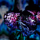 <flower x kaleidoscope>