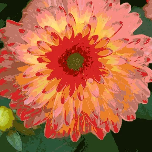 FlowerPetals 01