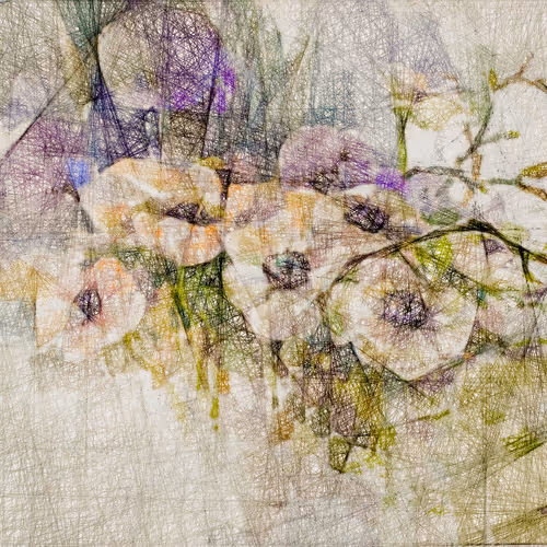 flowers abstraction