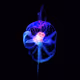 Flowers and Jellyfishes
