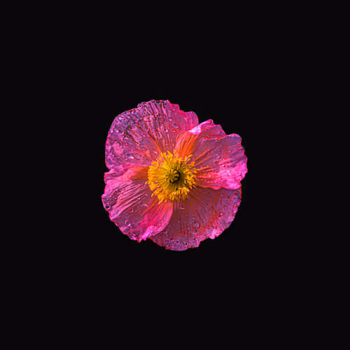 Flowers and love - old