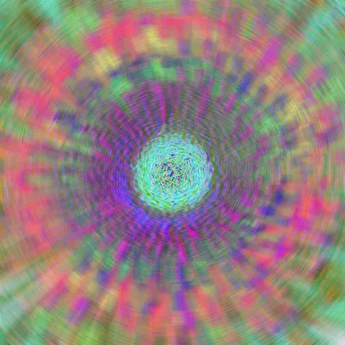 Flowers - Explosion of Colors