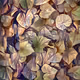 Flowers from another world (World #209059)