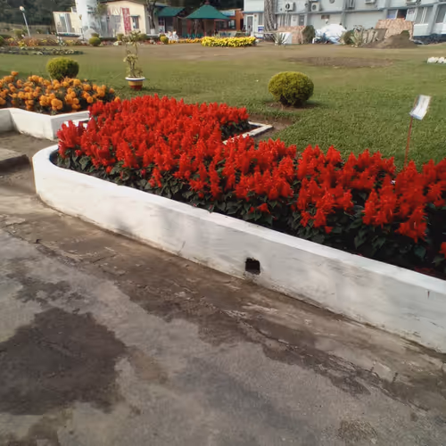 Flowers garden V3