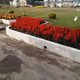 Flowers garden V3