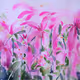 Flowers mood - old