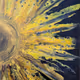 Flowers of our Galaxy