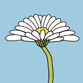 Flowers_space - old